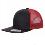 6TFTM - 6PANEL FLAT BILL