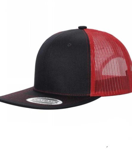 6TFTM - 6PANEL FLAT BILL