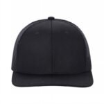 6TFTM - 6PANEL FLAT BILL - Image 2