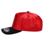 TCSTS - Satin Snapback Suede Bills - Image 4